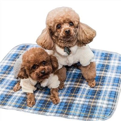Tout-sezon Pet Mat