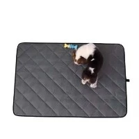 Koton ki kapab itilize ankò chen Pee Pad